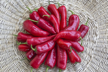 Fresh red bell pepper