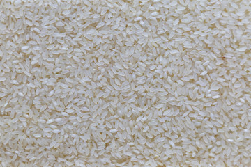 Close-up white raw rice legumes background