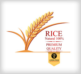 grain organic natural produc ,Rice gold and green leaf logo vector design