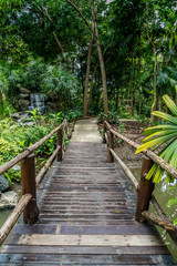 Footbridge in the park