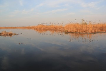 Morning with fog on the lake reflection of trees in water.