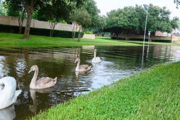 Post hurricane Harvey flooding in Houston near Tanner Rd and N Eldridge Pkwy