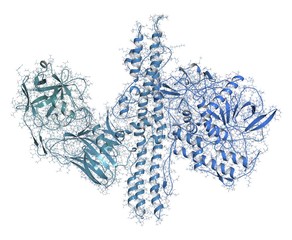 Botulinum toxin molecule, illustration