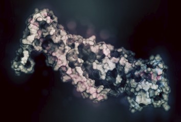 Troponin cardiac protein molecule, illustration