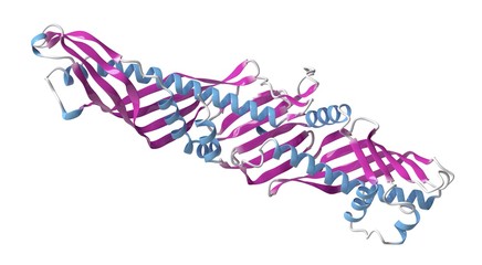 CETP protein molecule, illustration