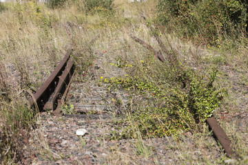 Fototapeta premium abandoned railroad