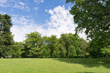 green meadow in city park