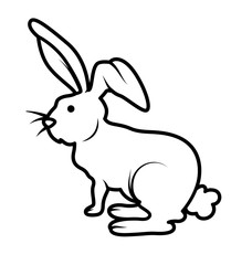 Rabbit Drawing
