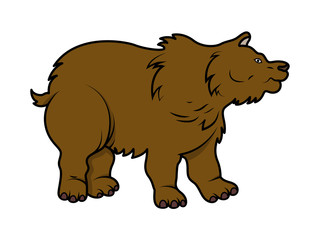 Cartoon Bear