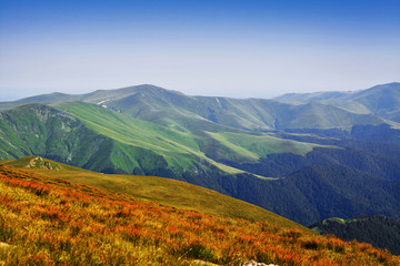 carpathians