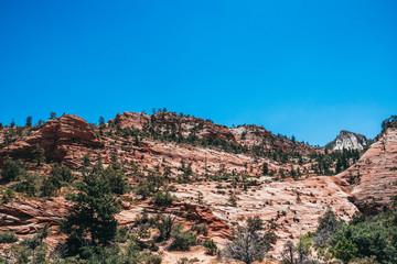 Fototapeta na wymiar Rocks of weathering sandstone. Desert landscape of Utah. Zion National Park