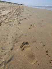Spuren im Sand