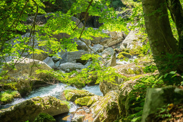 Fototapeta premium Sandankyo in Hiroshima,Japan