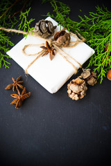 Christmas holiday frame