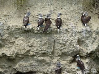 Parks, Streets, Sea and Beach view, Churches,
