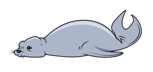 Cartoon Sea Lion - handmade clip-art vector 
