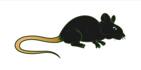 Cartoon Mouse Vector