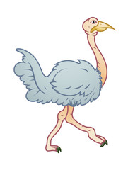 Cartoon Ostrich