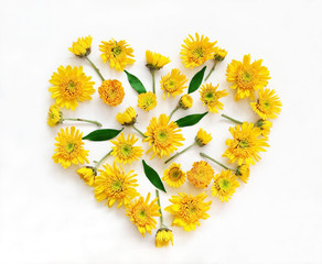 Flowers composition in shape of heart made of yellow flowers on white background. Spring summer easter 