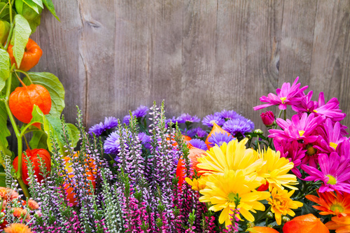 "Garten - Blumen und Holz" Stockfotos und lizenzfreie Bilder auf