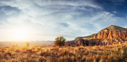 Fantastic forest in Carpathian Ukraine. There comes a golden autumn in the valleys.