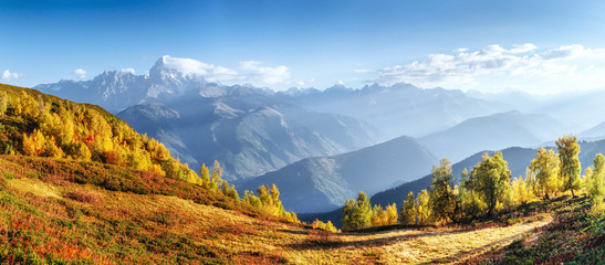 Fantastic forest in Carpathian Ukraine. There comes a golden autumn in the valleys.