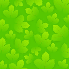 Fototapeta na wymiar Green Leaves Pattern Background