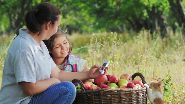 Woman and little girl in the apple orchard measure apples for nitrates and radiation. Apples are stacked in a large basket. Summer sunny day.