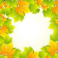 Naklejka na ściany i meble Autumn Leaves Frame Design