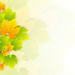 Autumn Leaves Christmas Background