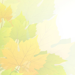 Vintage Blur Leaves Background