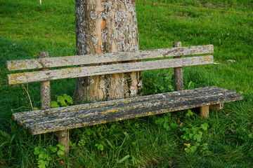 Fototapeta premium verwitterte Bank in grüner Wiese, Bayern