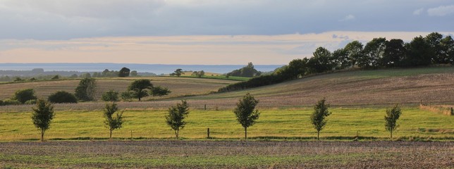 Rural Denmark. Landscape in Moen.