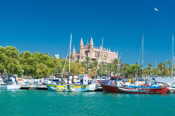 View of Palma de Mallorca with Cathedral La Seu and the fishing port - 5901