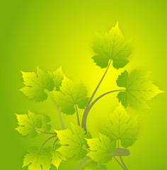 Green Leaves Background Design