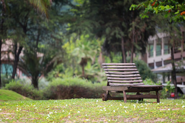 Empty wooden bench.