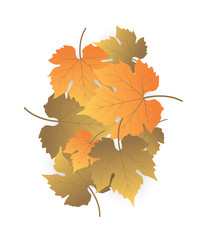 Autumn Leaves Vector - Autumn Vintage Style Background