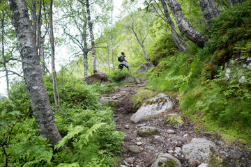 Obraz premium Forest in mountains of Norway in rainy weather