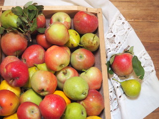 Naklejka na ściany i meble manzanas y fruta de la huerta