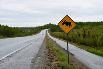 Trip to Alaska, USA © CarloEmanuele