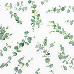Fototapeta premium Pattern of eucalyptus branches isolated on white background. Flat lay, top view