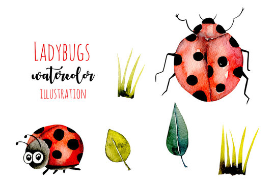 Set of watercolor cute cartoon ladybugs and simple plants illustrations, hand drawn isolated on a white background