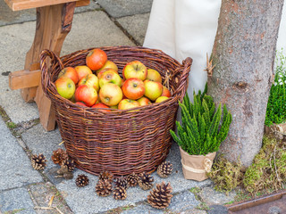 Weidekorb voller Äpfel