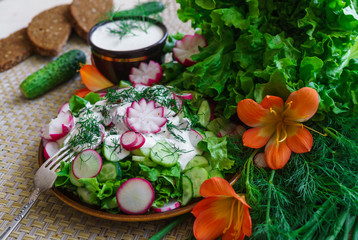 Obraz na płótnie Canvas fresh sliced cucumber salad and radishes with sour cream and herbs.