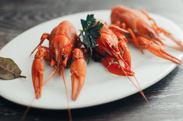 Crayfish on a white plate on a dark background
