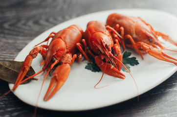 Crayfish on a white plate on a dark background