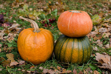 Autumn time