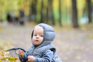 One year old baby boy in autumn park.