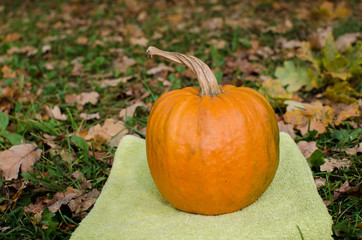 Autumn time