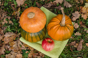 Autumn time